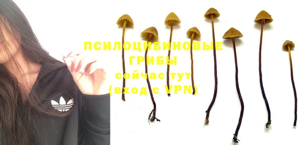 PSILOCYBIN Бугульма