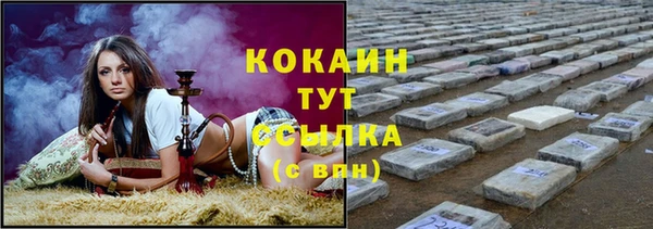 твердый Бронницы