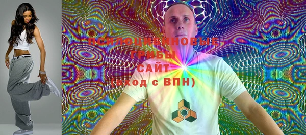 твердый Бронницы