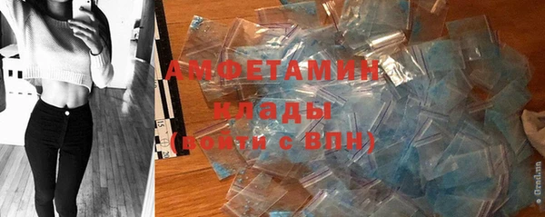 твердый Бронницы